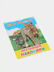 Комплект из 2-х книг с наклейками