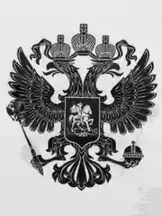 Пакет подарочный бело-черный 30х40 см с символикой Герб 2 шт