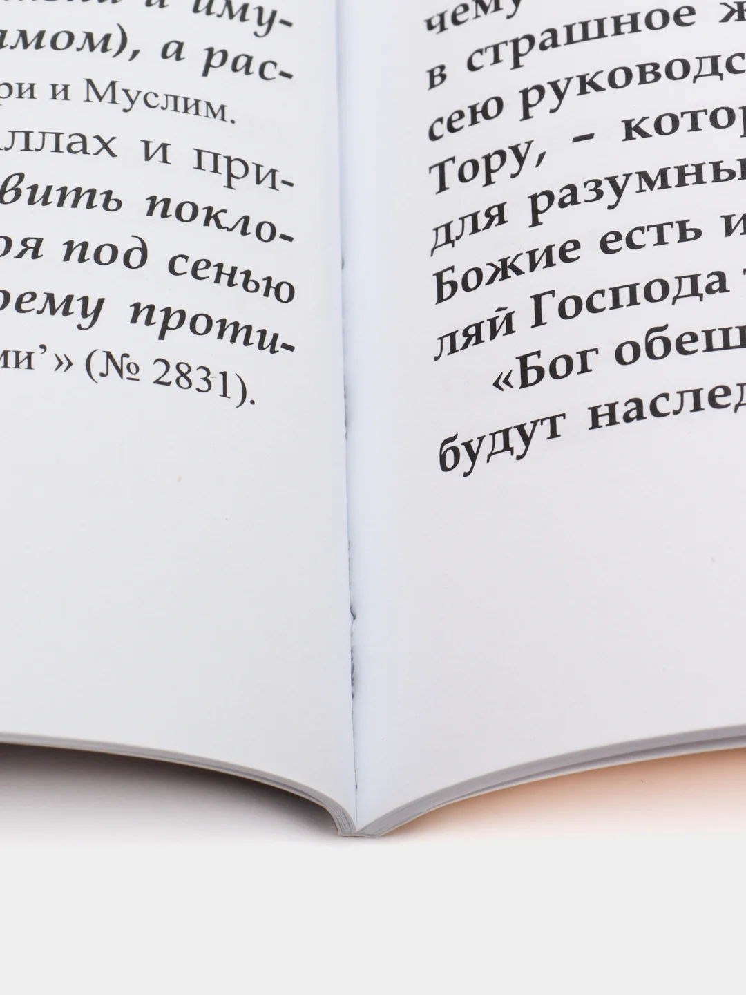 Послание моему соседу христианину