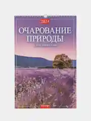 Сиреневый календари настенные, перекидные, на ригели А3, 2024