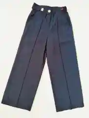 Брюки  школьные