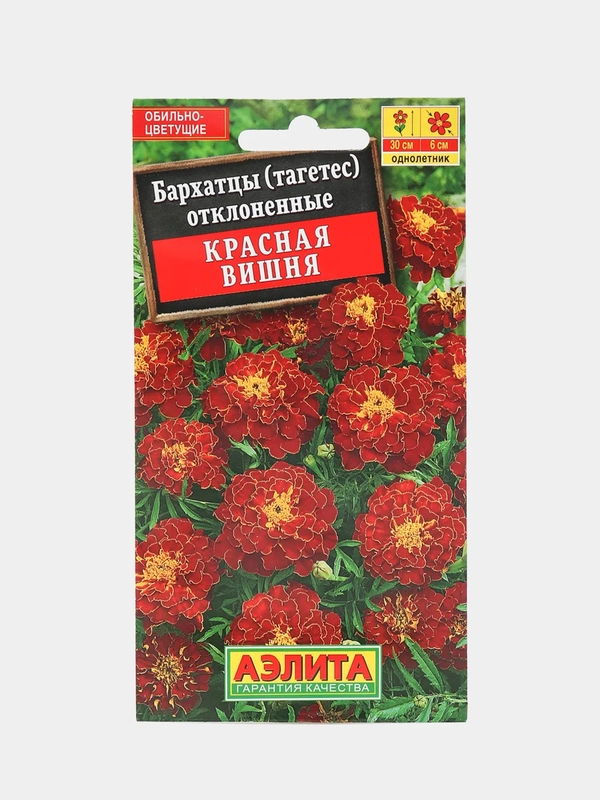 Бархатцы Красная Вишня (семена,цветы)