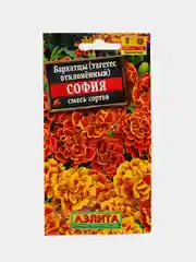 Бархатцы София (семена,цветы)