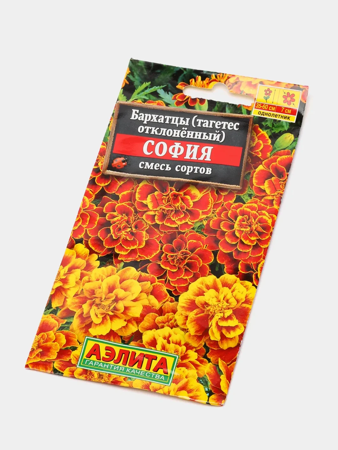 Бархатцы София (семена,цветы)