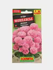 Астра Монпансье розовая