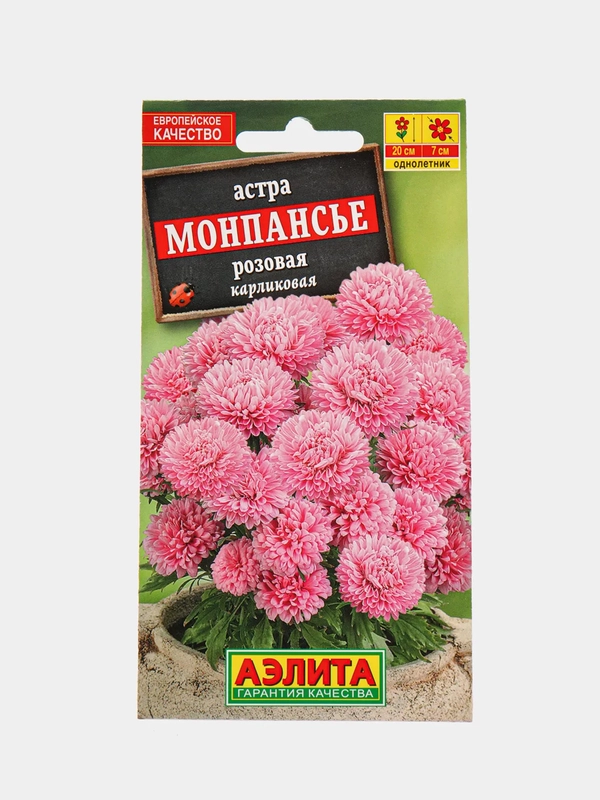Астра Монпансье розовая
