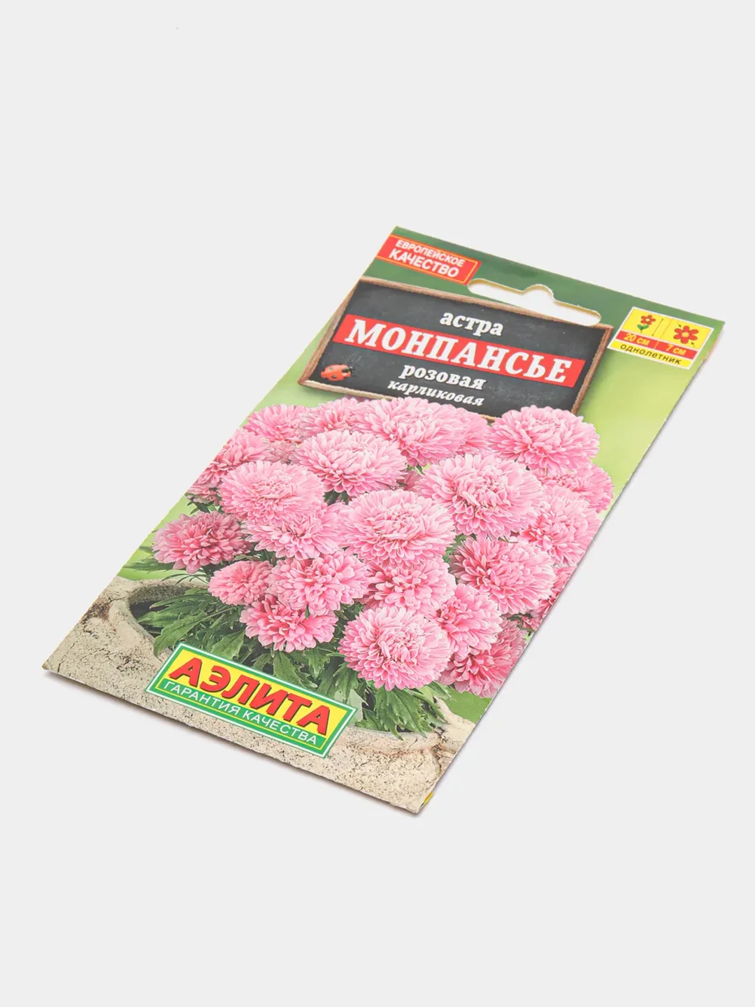 Астра Монпансье розовая