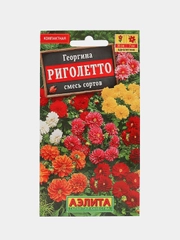 Георгина Риголетто (семена,цветы)
