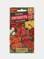Георгина Риголетто (семена,цветы)