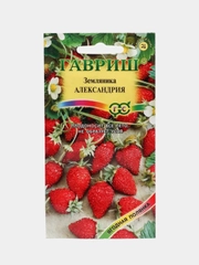 Земляника Александрия (семена)