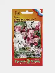 Роза Крылья Ангелов (семена,цветы)