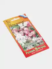 Роза Крылья Ангелов (семена,цветы)