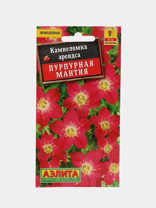Камнеломка "Пурпурная мантия", семена цветов