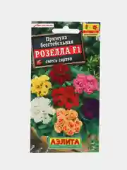 Примула "Розелла" (семена, цветы)