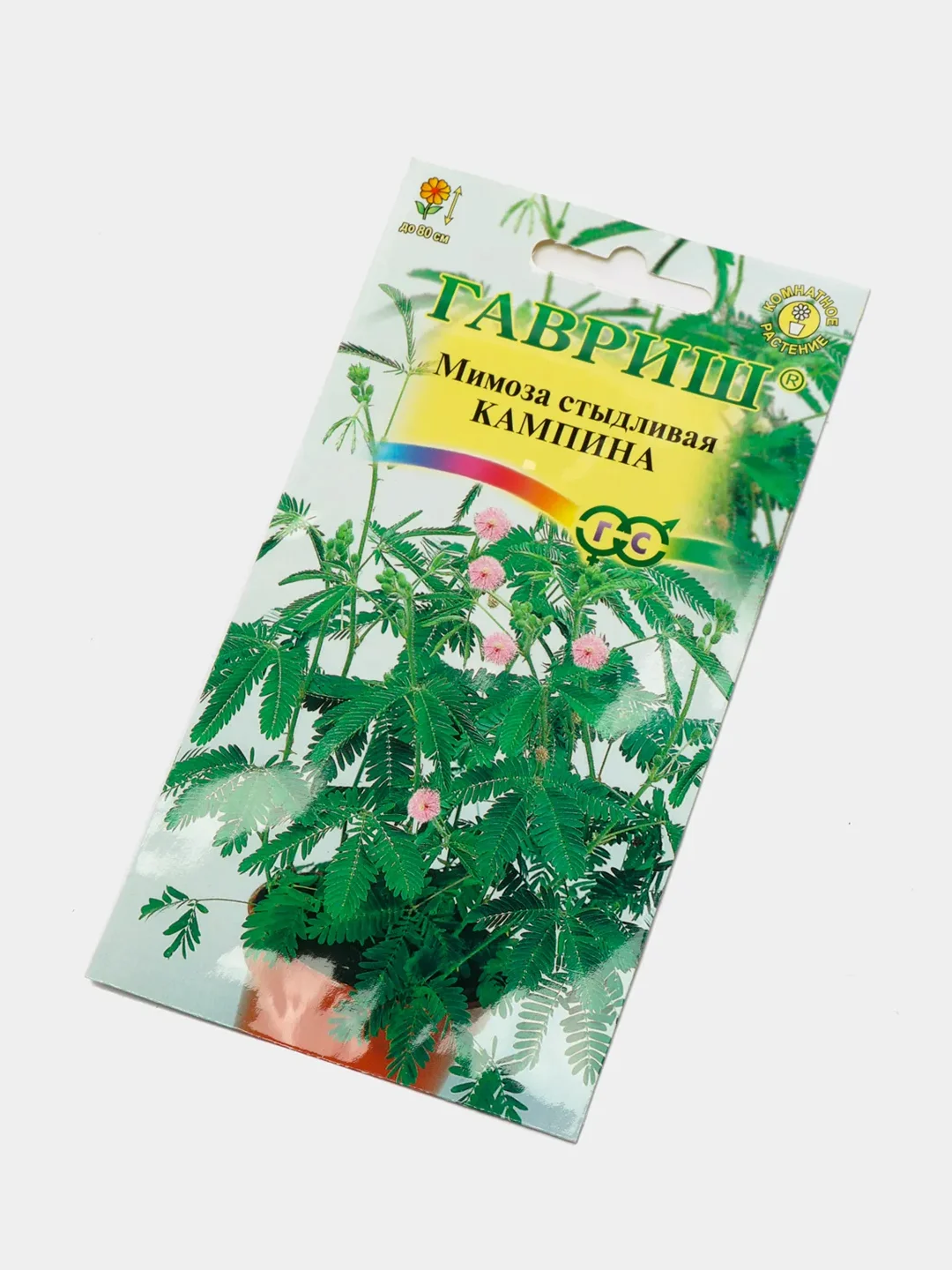 Мимоза стыдливая Кампина, семена, цветы