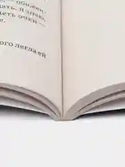 Авантюрный роман. Тэффи Н