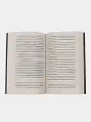 Парижские зимы. (Серия Роман с книгой)