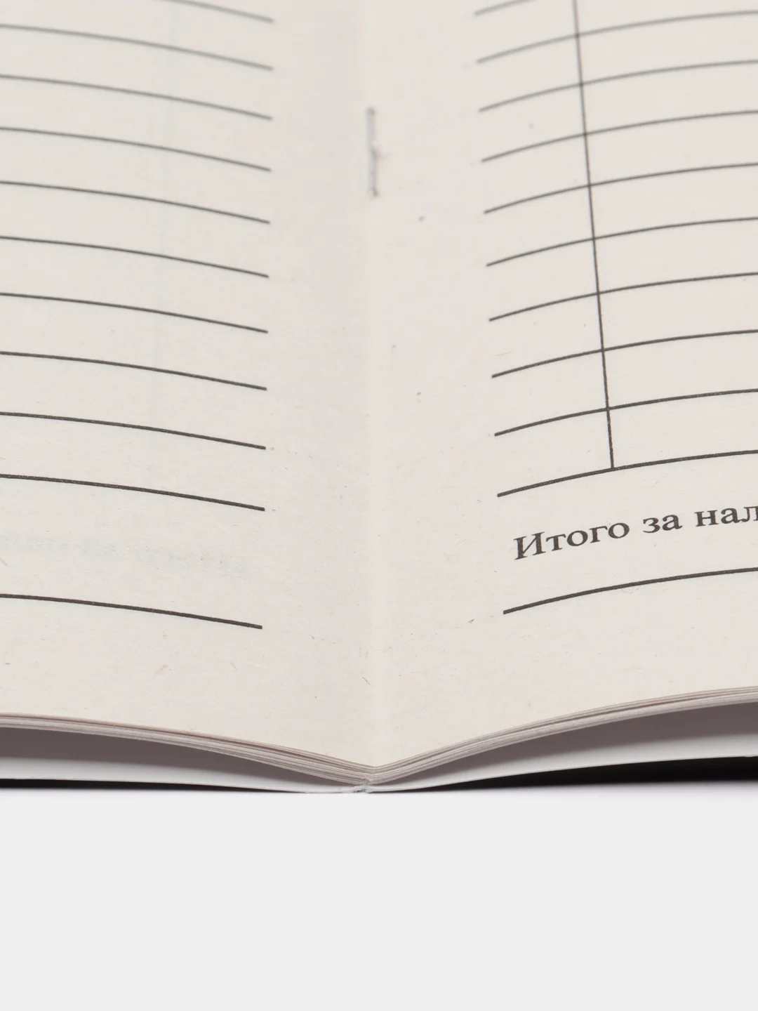 Книга учета доходов индивид.предпринимателей,применяющих патентную систему налогообложен