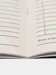 Книга учета доходов индивид.предпринимателей,применяющих патентную систему налогообложен
