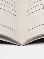 Книга учета. УСН