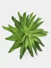 Искусственный суккулент игольчатый