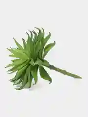 Искусственный суккулент игольчатый