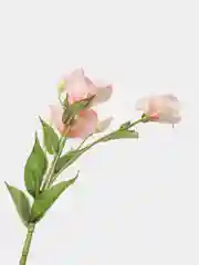 Конфетный искусственные цветы Эустома