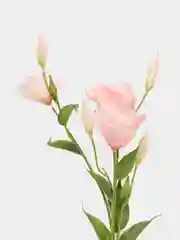 Конфетный искусственные цветы Эустома