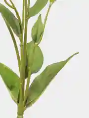 Конфетный искусственные цветы Эустома