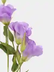 Фиолетовый искусственные цветы Эустома