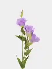 Фиолетовый искусственные цветы Эустома