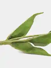 Розовый искусственные цветы Эустома