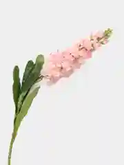 Дельфиниум искусственный