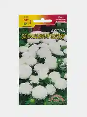 Астра "Бордюр белоснежный" (семена, цветы)