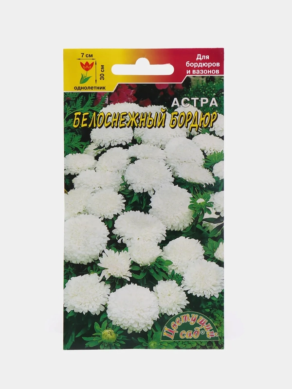 Астра "Бордюр белоснежный" (семена, цветы)