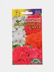 Пеларгония "Восхищение", семена, цветы