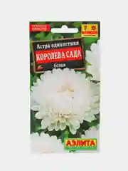 Семена Астра "Королева сада белая"