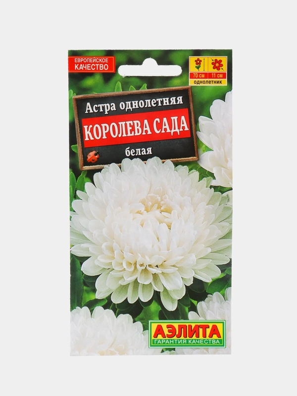 Семена Астра "Королева сада белая"