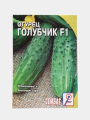 Семена огурец "Голубчик" F1, 0,2 г