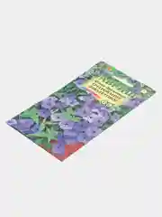 Флокс "Очарование Фиолетовое" (семена, цветы)