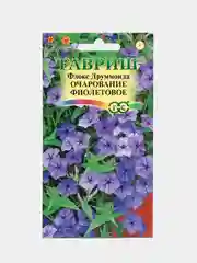 Флокс "Очарование Фиолетовое" (семена, цветы)