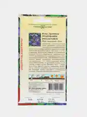 Флокс "Очарование Фиолетовое" (семена, цветы)