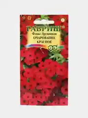Флокс Очарование Красное (семена, цветы)