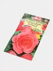 Бегония Гоу гоу Розовая (семена,цветы)