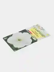 Петуния "Снежный шар" (семена, цветы)