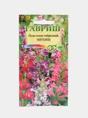 Пенстемон "Энтони" семена, цветы