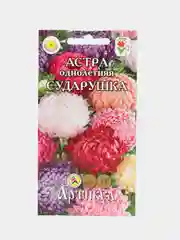 Семена цветов Астра "Сударушка"