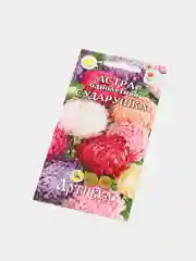 Семена цветов Астра "Сударушка"