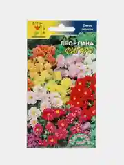 Семена цветы Георгина Фигаро смесь