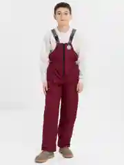 Бордовый зимний полукомбинезон, на мальчика, на девочку, Arctic kids